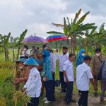 Sankara mulia nusantara memberikan CSR ke APEDI untuk program pemberdayaan desa