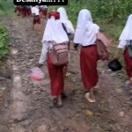 ad65aa0f-b58b-4973-a334-3ab3ebb26640