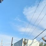 IMG-20260405-WA0150(1)