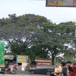 IMG-20260423-WA0049